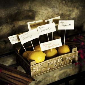 dettaglio tableau con limoni nella sala delle armerie al castello Odescalchi sul lago di Bracciano